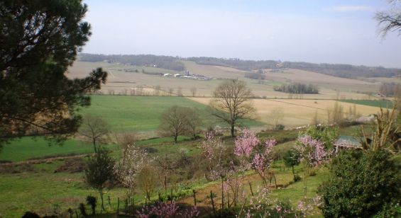 Vue depuis l'église St-Loubouer